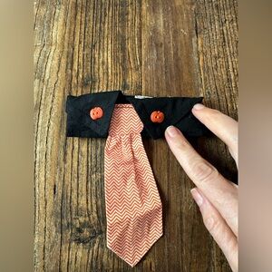 Stylish Black and Orange Dog Collar with Tie